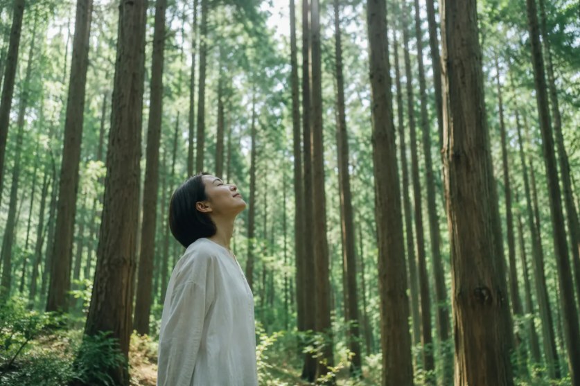 ヒノキの森で深呼吸する女性